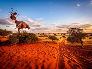 Largest Desert Australia
